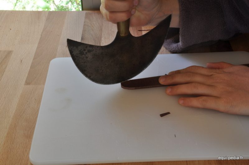 Combien De Temps Les Chiens Restent Collés Fabrication d’un collier pour chien | Equi-Pedia